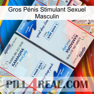 Gros Pénis Stimulant Sexuel Masculin kamagra1